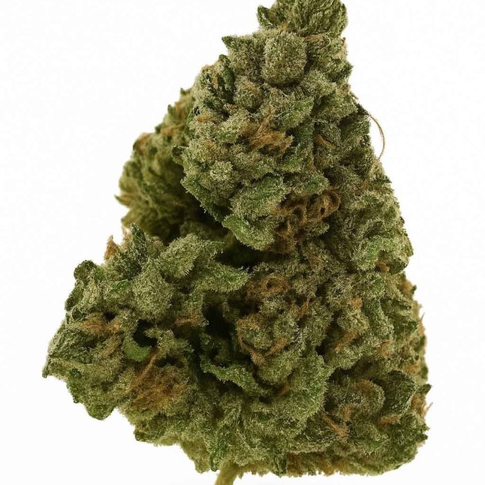 Blue Gushers thca wholesale hemp