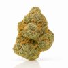Cereal Milk - THCa Wholesale Hemp