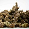 GMO Cookies - THCa Wholesale Hemp
