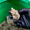 Super Boof - THCa Wholesale Hemp - Image 2