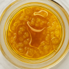 Sauce and diamonds Thca Wholesale Hemp Concentrate