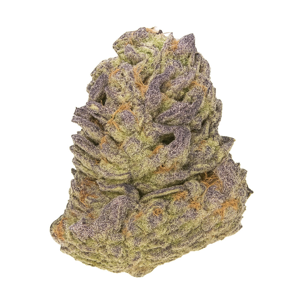 Orange Cream Cake - THCa Wholesale