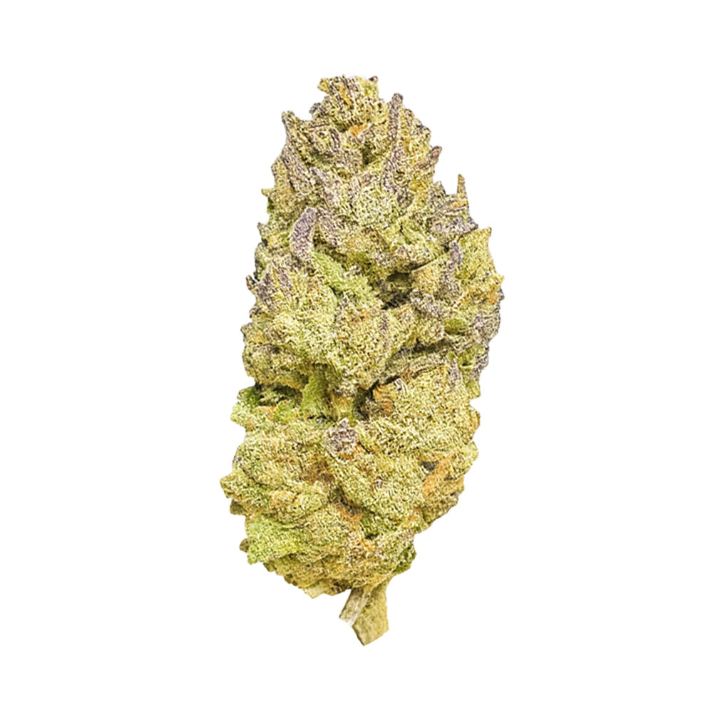 Sherb Cream Pie - THCa Wholesale