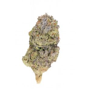 Sour OG - THCa Wholesale